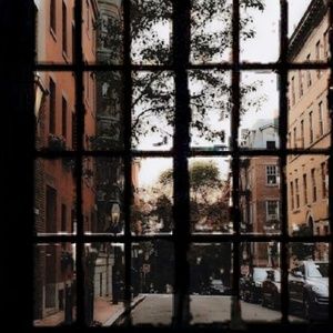 Meet your Posher, Sh'naya